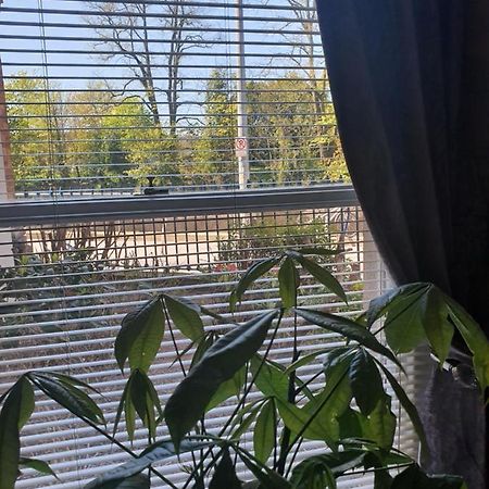 River View Apartment Suite Корк Экстерьер фото